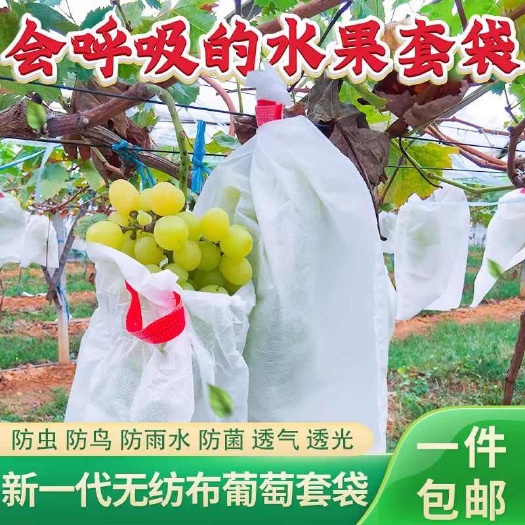 无纺布果袋 瓜果葡萄青提阳光玫瑰套袋源头工厂直接发货