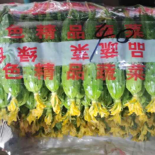 绥中县绥中旱黄瓜产地，0.2