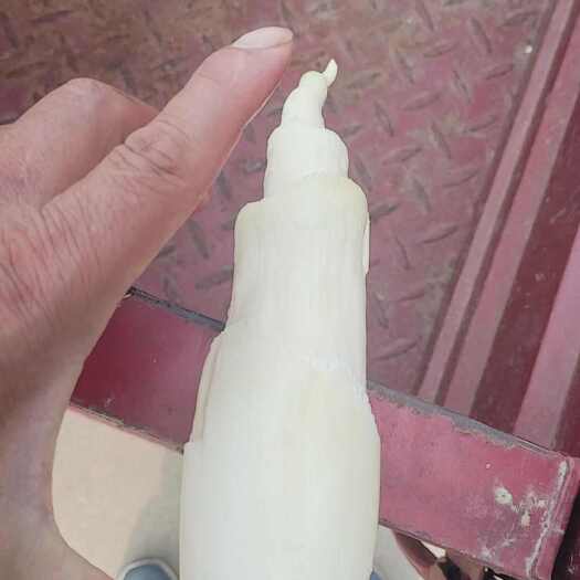潢川县品种茭白（蔬菜）
