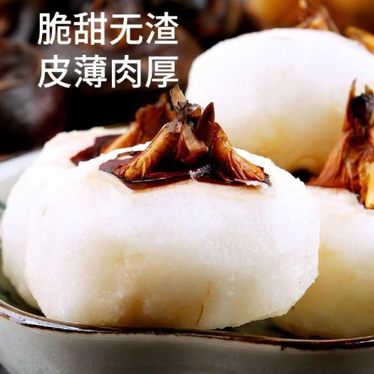 广西桂林荔浦新鲜荸荠马蹄现挖脆甜多汁