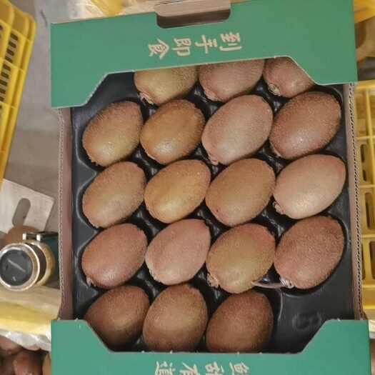 周至县秦岭北麓的翠香猕猴桃 陕西直供 新鲜美味 果实饱满 果汁充足