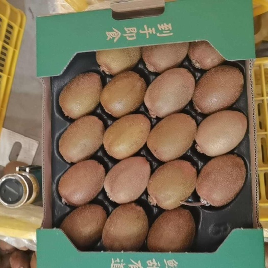 秦岭北麓的翠香猕猴桃 陕西直供 新鲜美味 果实饱满 果汁充足