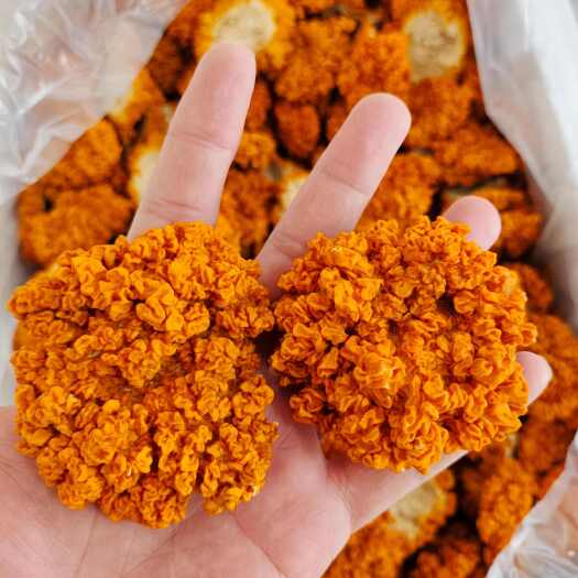 金耳菌干货批发2024年新货银耳煲汤食材金耳羹金