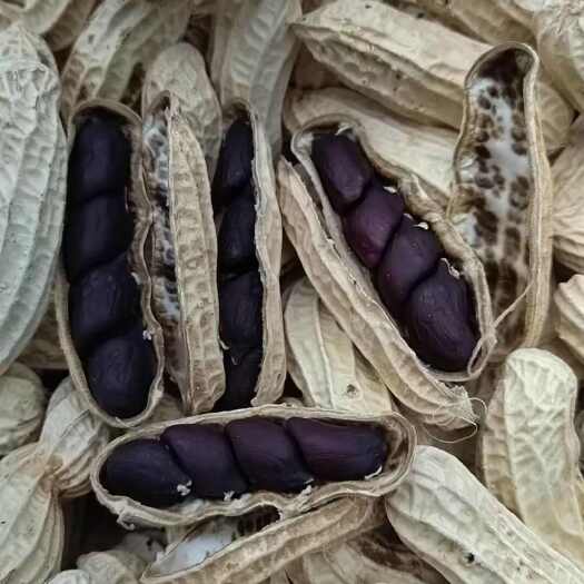 孟连县云南黑花生，清洗 晒干 人工挑选，尾季了 需要加急采购