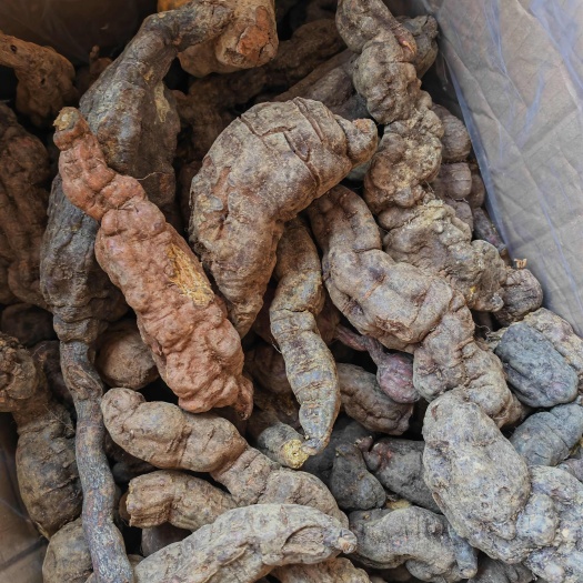 何首乌，鲜货，大小货都有，山货