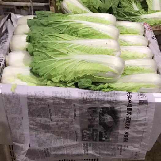 寻甸县代办，黄白