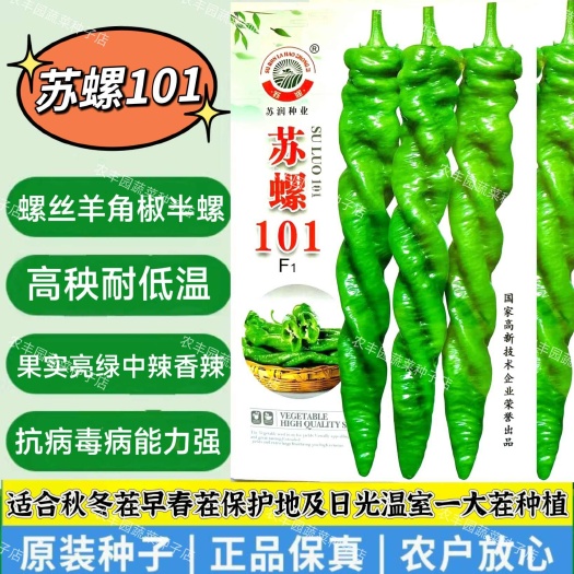 沭阳县苏螺101半螺羊角椒螺丝椒种子耐寒中辣春秋季102全螺麻面辣