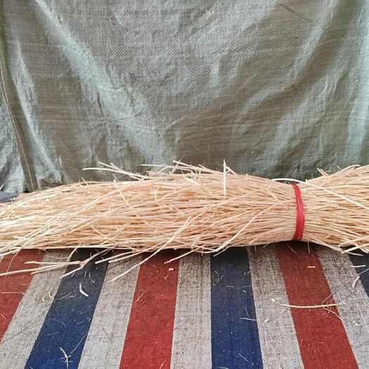 罗定市原产地直发白茅根