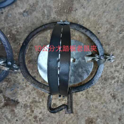 宾阳县10公分铁加厚大踏板家用小老鼠夹