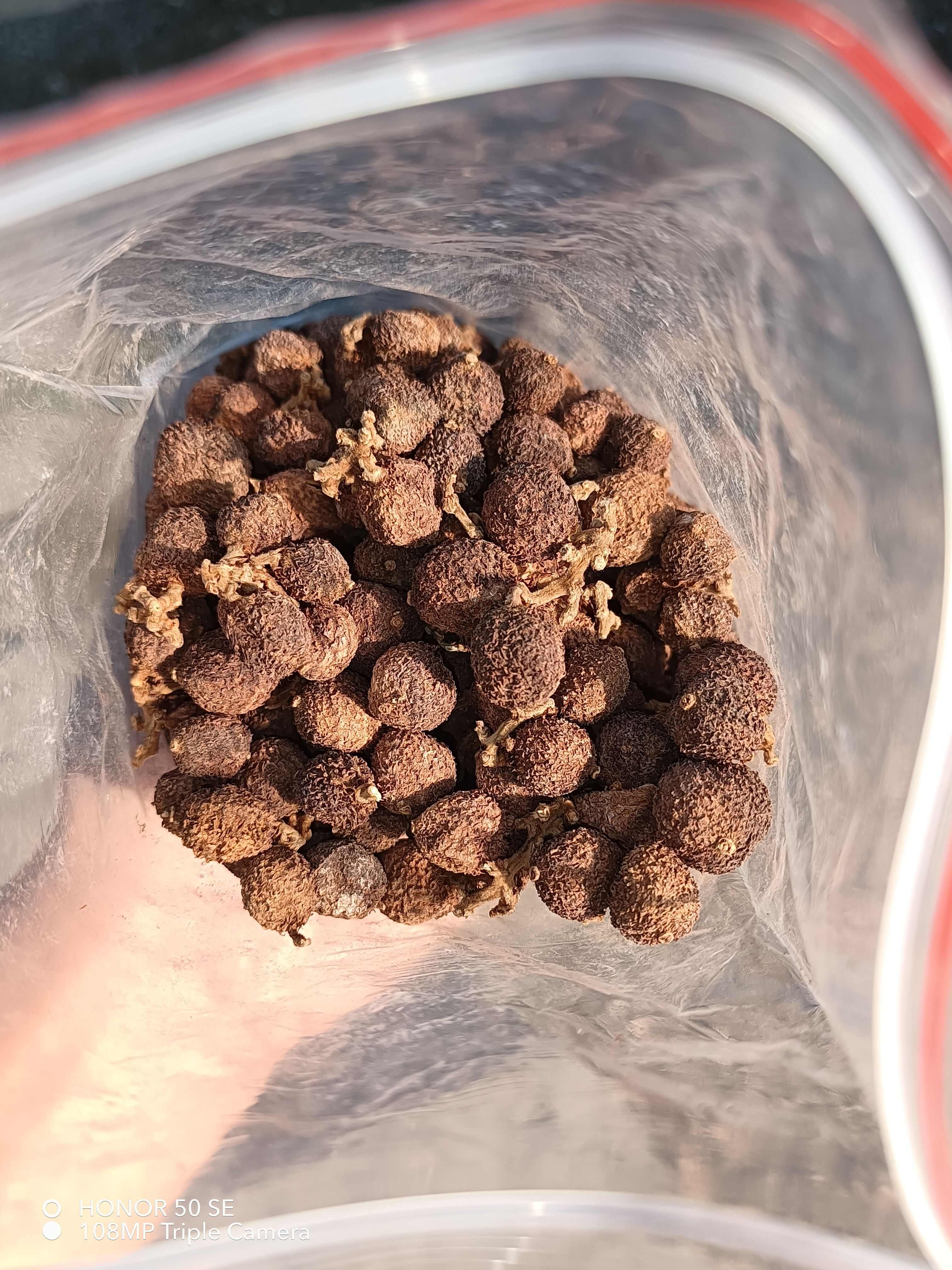 阳春黄苗子春砂仁，古法烘焙，剂，香气浓郁，数量有限