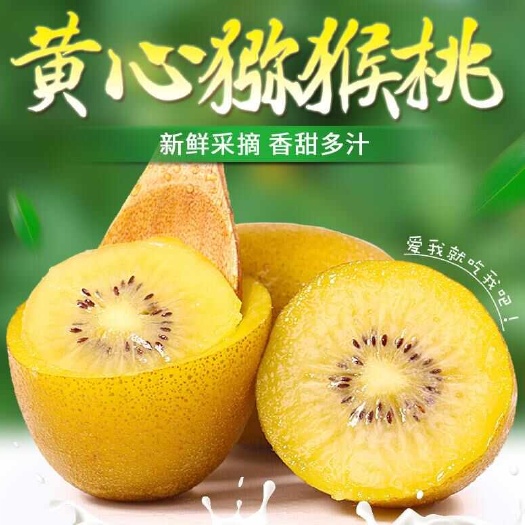 蒲江縣蒲江黃心獼猴桃優(yōu)質(zhì)果