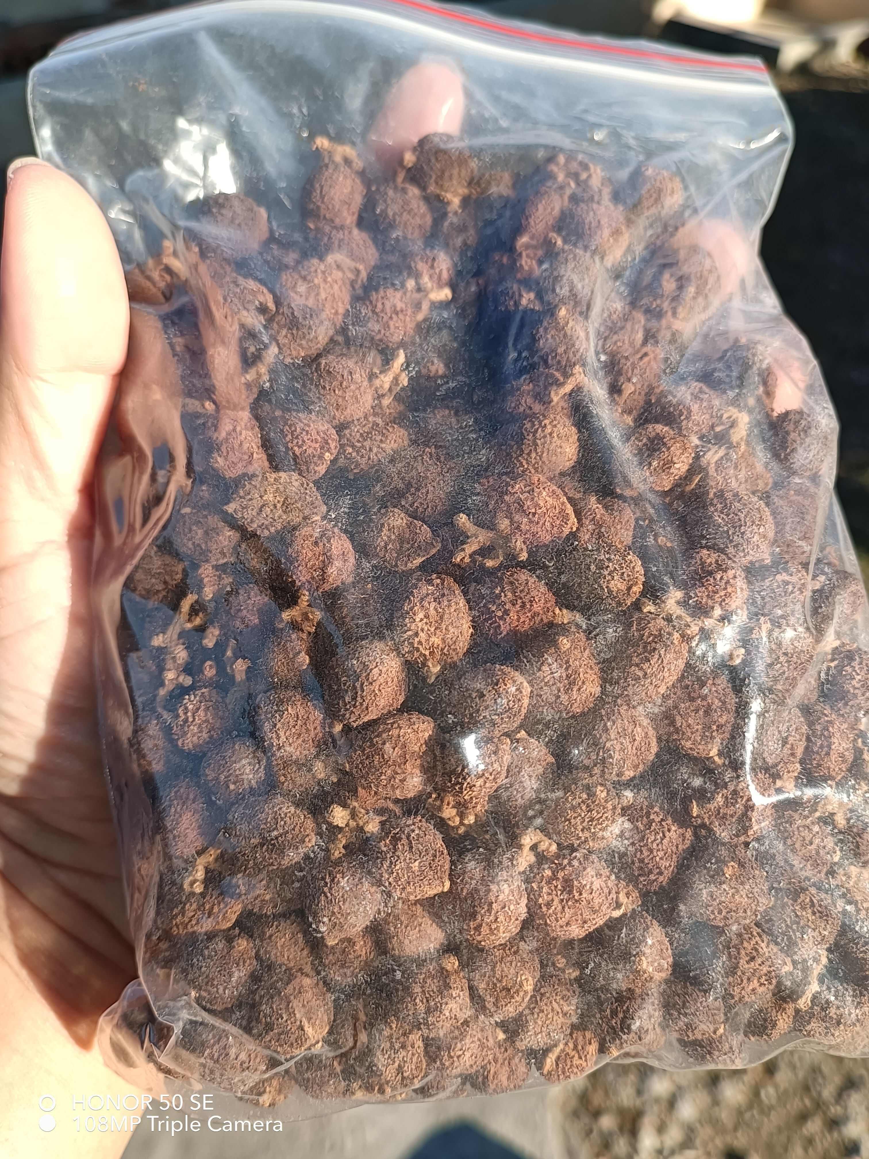 阳春黄苗子春砂仁，古法烘焙，剂，香气浓郁，数量有限