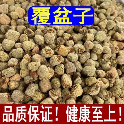 亳州覆盆子