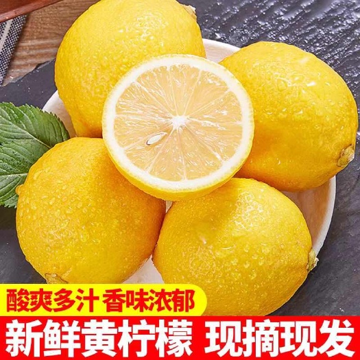 安岳县四川安岳黄柠檬尤力克季现摘新鲜水果商用榨汁，酸爽可口