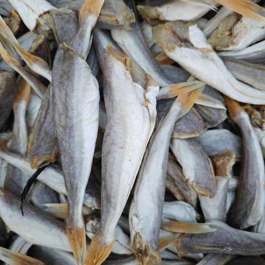 滨州山东省优质红娘鱼干 海鲜美食 滨州直发
