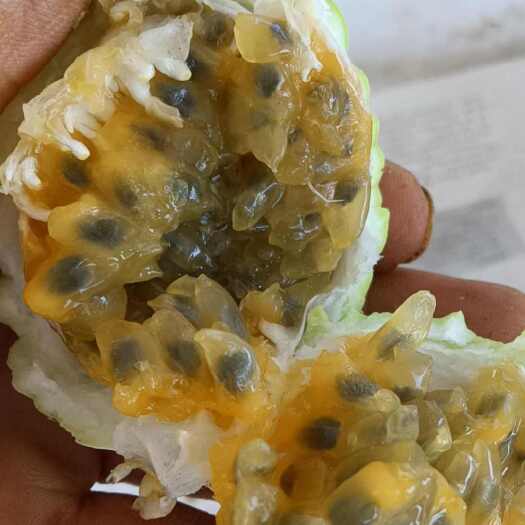 北流市钦蜜九号高次