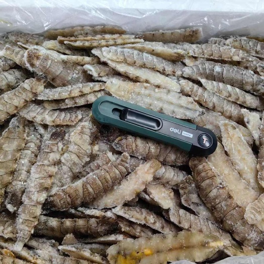 皮皮虾肉爬虾肉，生冻皮皮虾肉，熟冻皮皮虾肉，熟冻虾爬肉