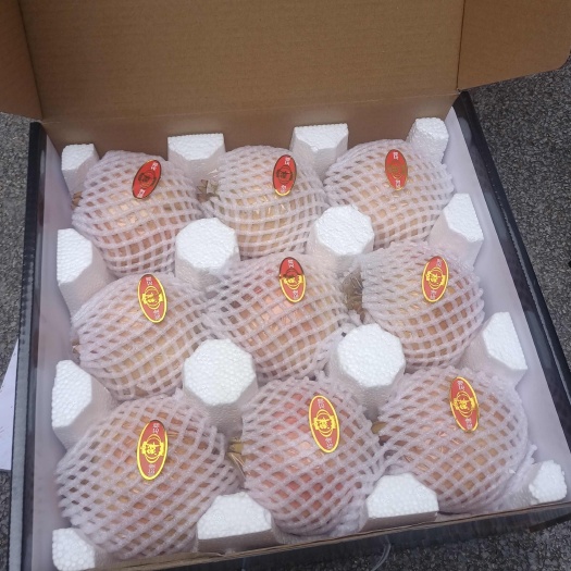 西安临潼精品石榴
 9个／箱88元包邮
偏远地区除外