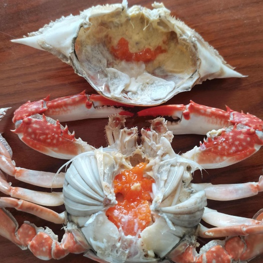 日照冰冻满膏母梭子蟹