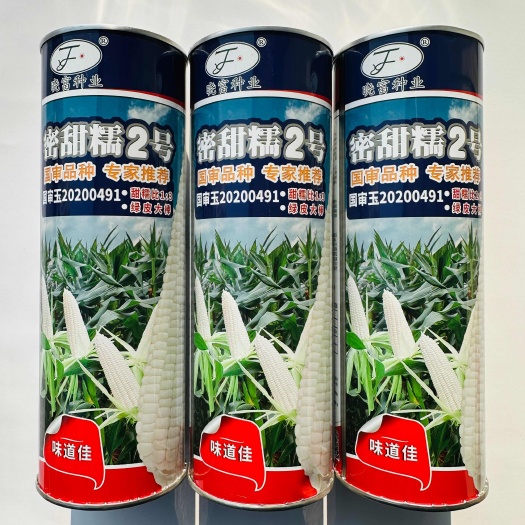 宿迁晓富蜜甜糯2号鲜食甜糯玉米种子 白甜糯玉米种子