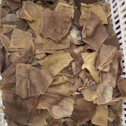郑州毛肚叶片