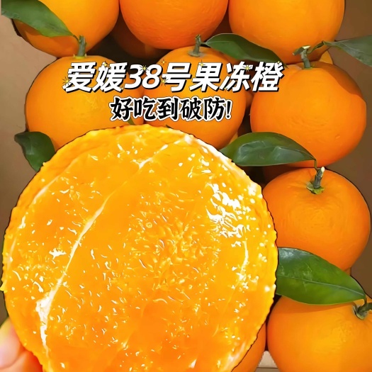 爱媛38号果冻橙护国沙田柚