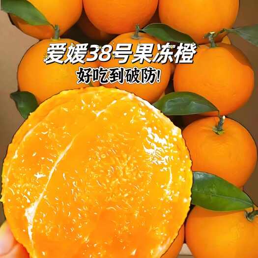 泸州爱媛38号果冻橙护国沙田柚