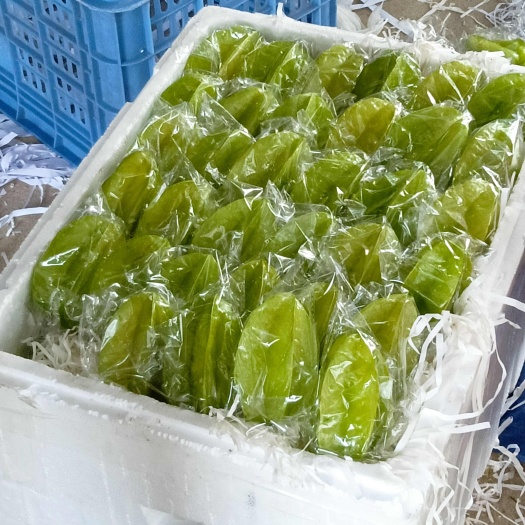 红杨桃