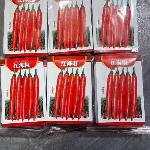 扶沟县品种主要性状最新杂交一代红椒、早中热，果实长度14-16要米