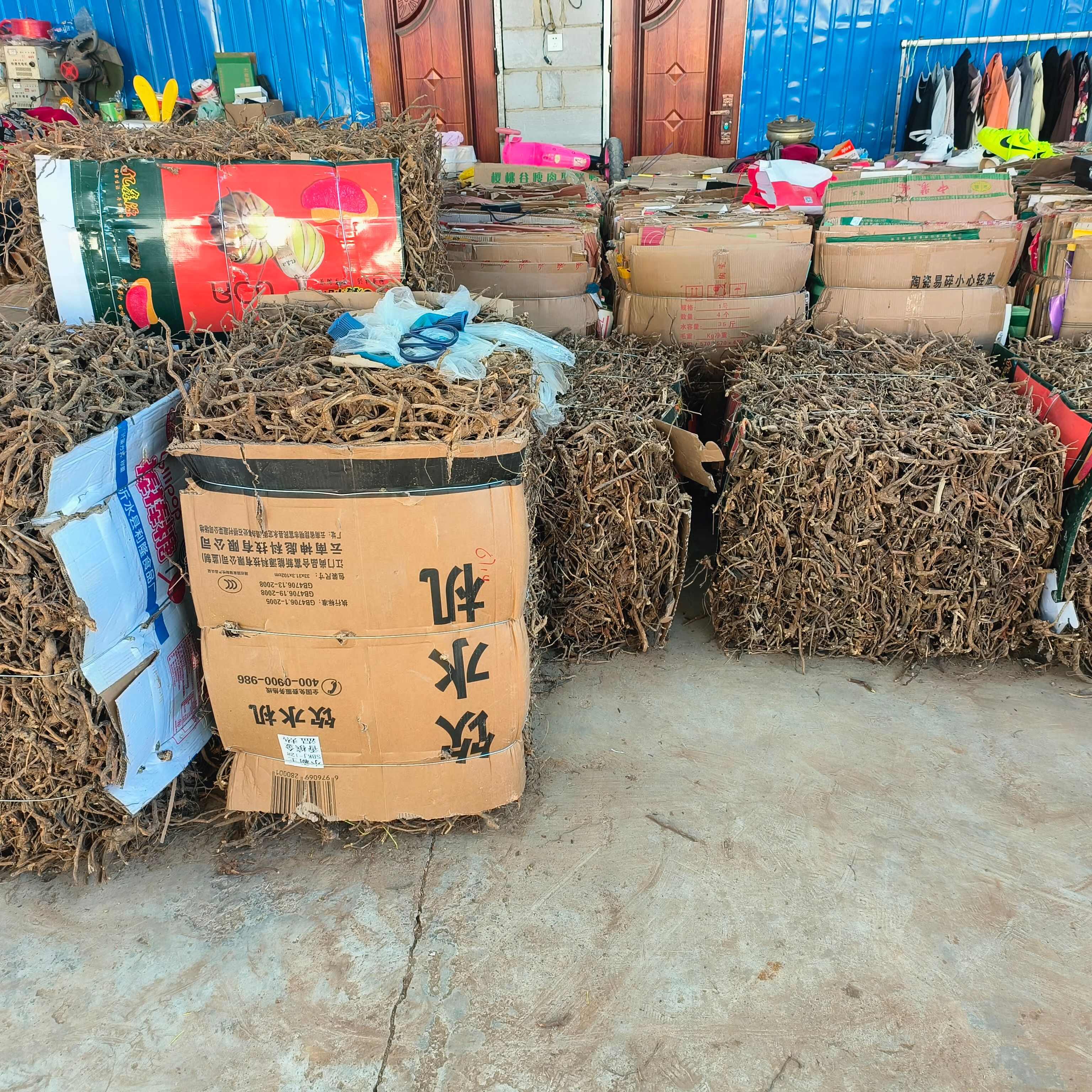 羊耳菊  白面风  可干可鲜货，纯根货