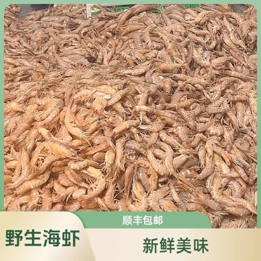 大连鹰爪虾蛎虾适合扒虾仁有800斤