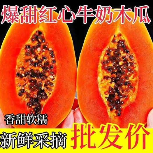 恩平市皮薄肉厚，细腻爽口，甜蜜诱人，鲜嫩多汁，吃出满满的幸福感
