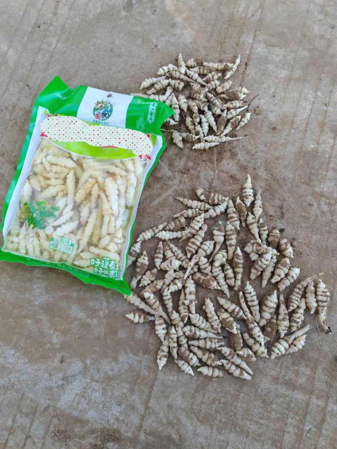 螺絲菜菜地環(huán)寶塔菜上市了批發(fā)市場平臺