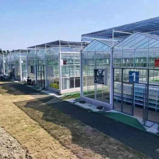 沭阳县温室大棚厂家生产加工免费设计安装