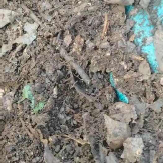 武定县腐殖土，营养土