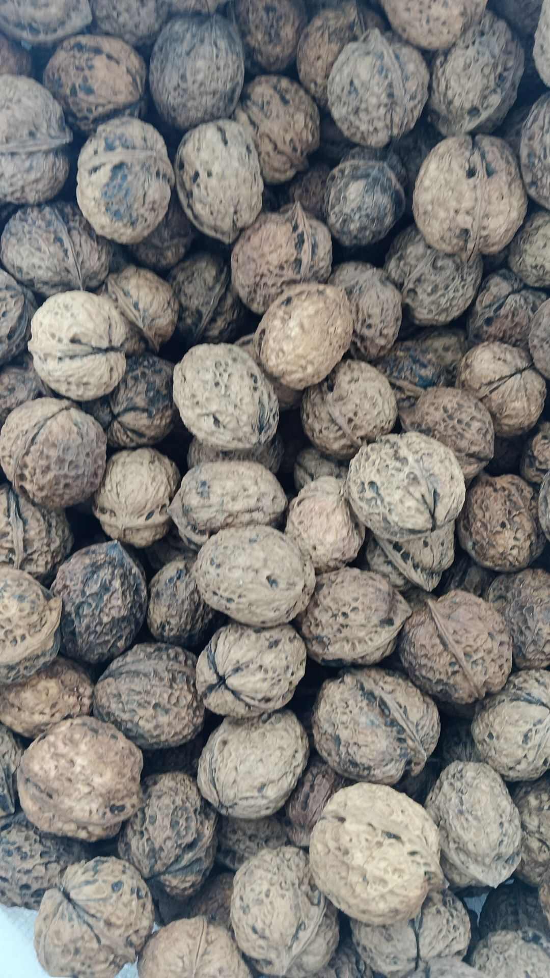 电商货…晒大果，薄皮，个头32以上，口感回甜3.5一斤