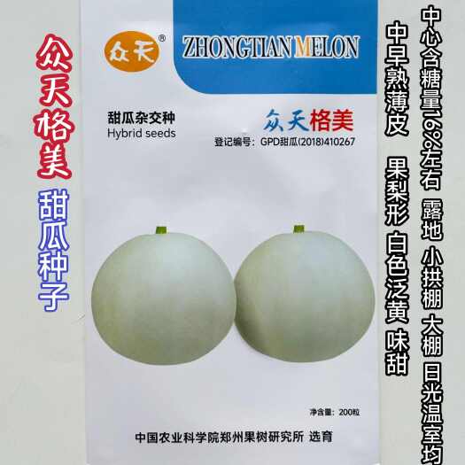 沭阳县众天格美甜瓜种子原装薄皮梨形淡黄白皮淡白肉细腻格美甜瓜种籽