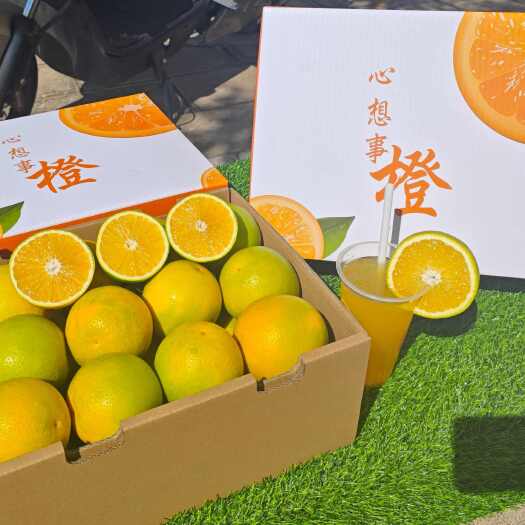 新平县【一箱代发】云南哀牢山新平冰糖橙现摘现发，不打蜡不上色不催熟