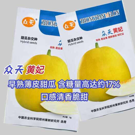 沭阳县众天黄妃甜瓜种子水果种子杂交黄皮甜瓜种子薄皮厚肉香瓜清香脆甜