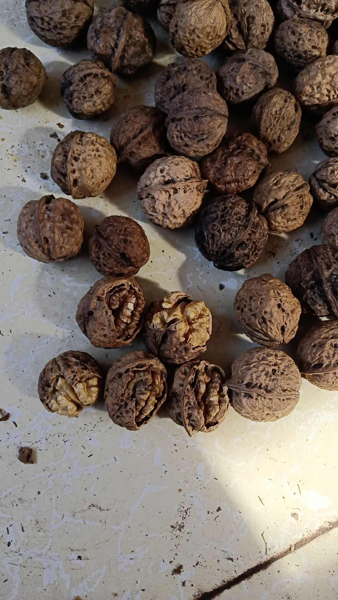 电商货…晒大果，薄皮，个头32以上，口感回甜3.5一斤
