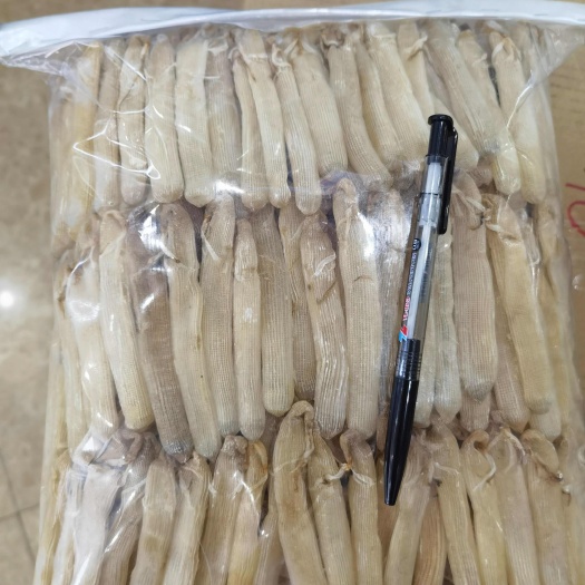 东兴市沙虫干。个头大，干度高。