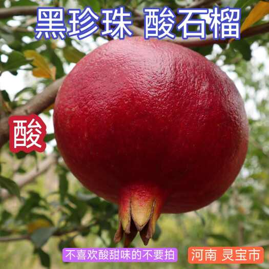 灵宝市河南灵宝市 酸甜黑珍珠软籽石榴 酸石榴新鲜大果黄土高原