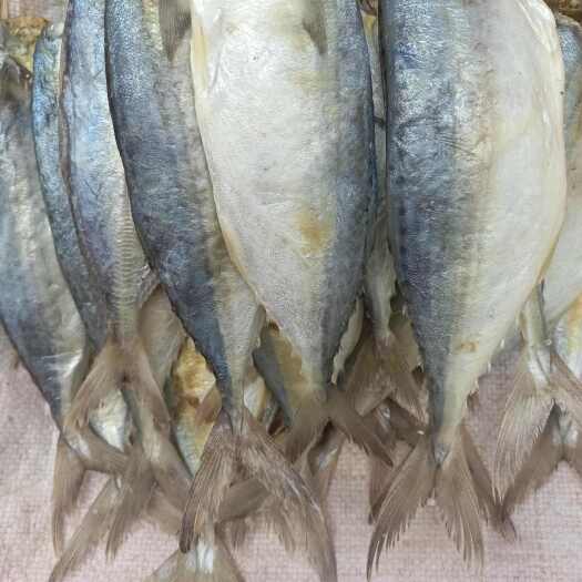 北海去头巴浪咸鱼