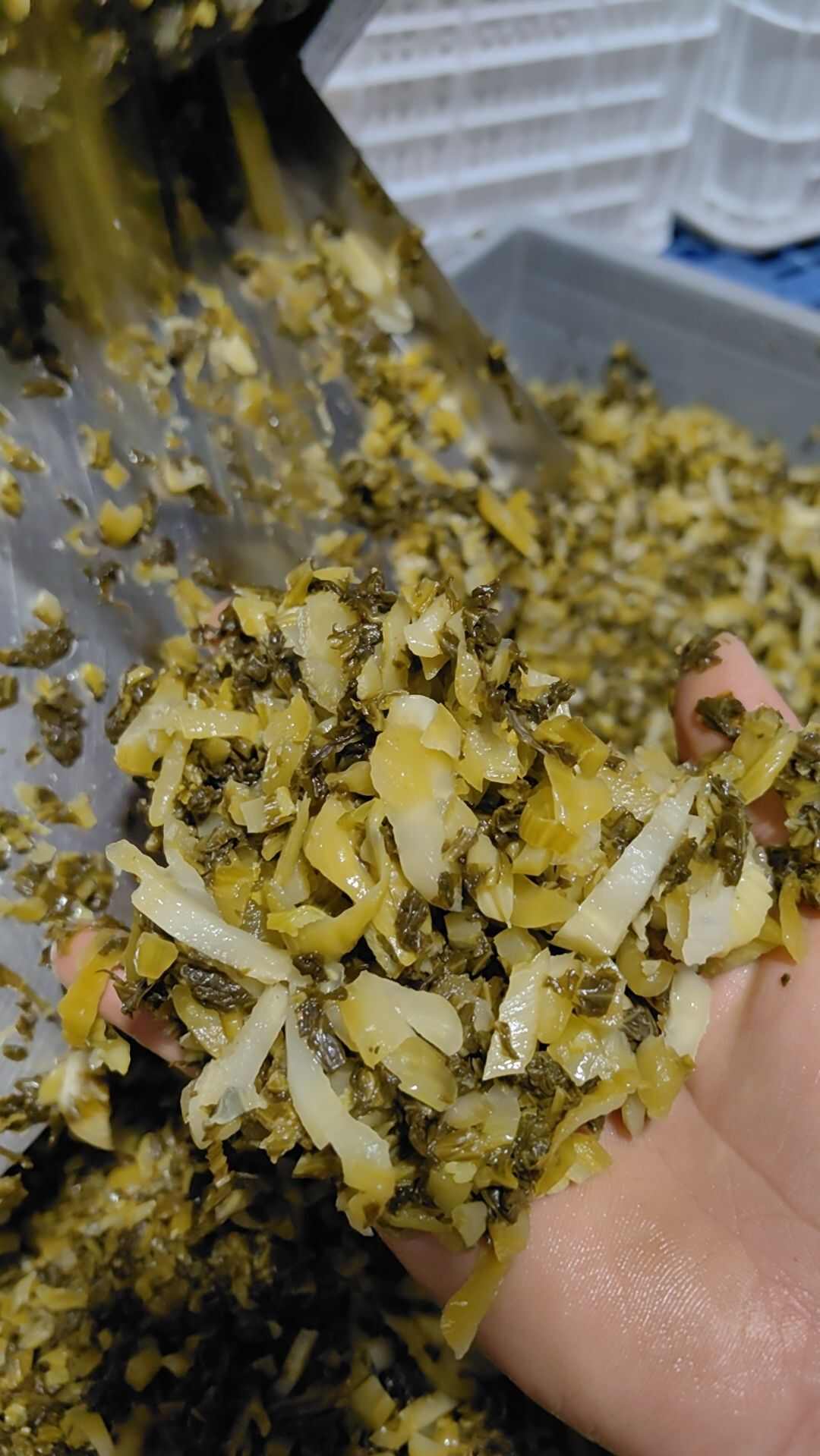 猪脚饭专用酸菜丝，咸酸适中，免切免洗，泡菜坛腌制的好酸菜。