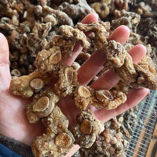 安顺贵州省优质多花姜形黄精 中药材 滋补佳品 快速发货