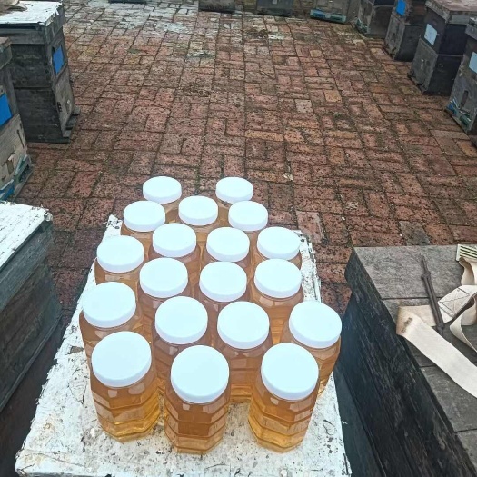榆树市东北椴树蜜