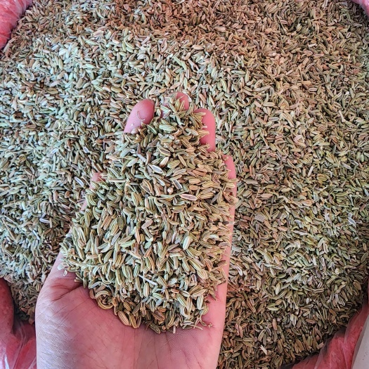 玉林欧标孜然