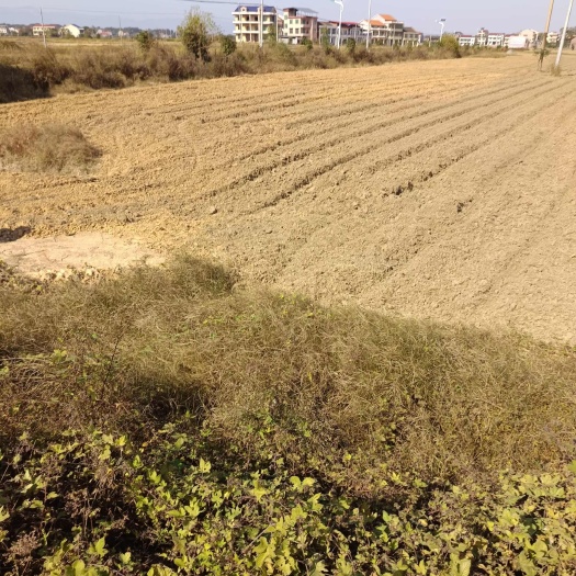 衡阳湖南衡阳地区  旱地村集体资源出租