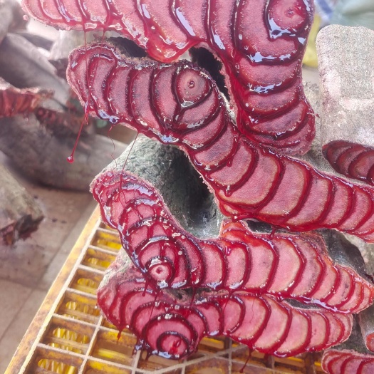 广西源头商家正品鸡血藤新鲜泡水煲汤泡酒干货1500g
