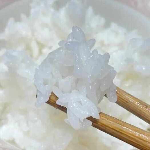 哈尔滨黑龙江省五常市一等籼米 精选稻花香 50斤一装